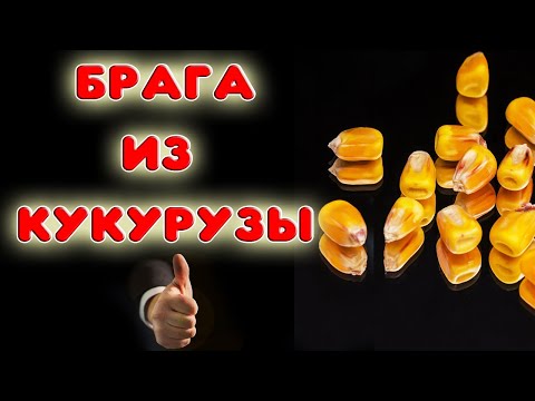 Видео: РЕЦЕПТ ПРИГОТОВЛЕНИЯ БРАГИ ИЗ КУКУРУЗЫ. Делаем кукурузный виски или бурбон #самогон