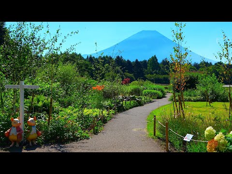 Видео: Это бесплатно?! Английский сад Питера Кролика с горой Фудзи!