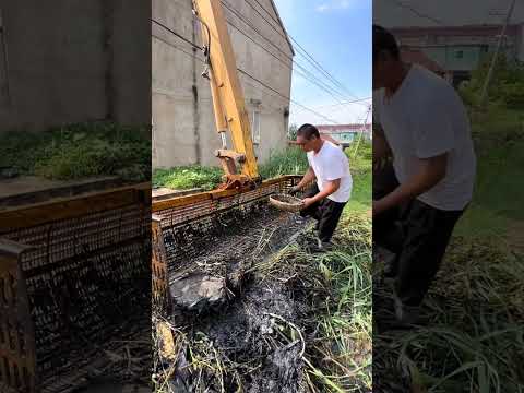 Видео: Рыбалка JCB 🐠🐟 охота в реке