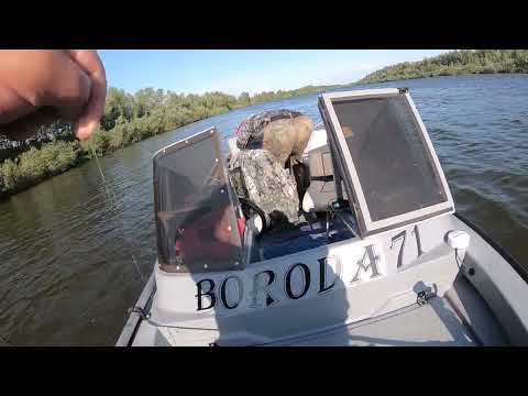 Видео: Астараханская область. Рыбалка с БОРОДОЙ в июне 2025