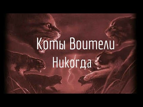 Видео: Коты Воители-Клип НИКОГДА