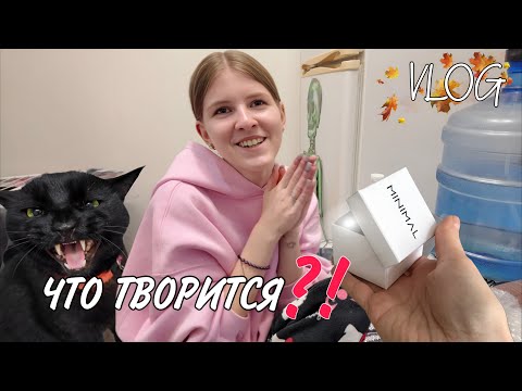 Видео: Мой дом не мои правила… Кира выходит замуж?!  😅Потерянная находка. 