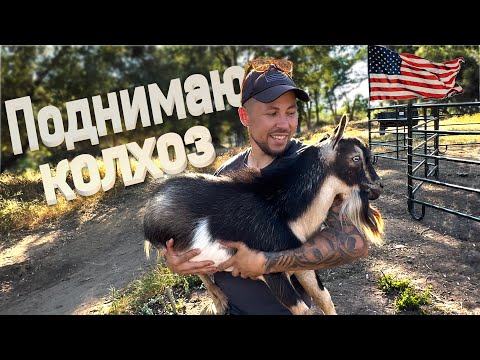 Видео: Работа в колхозе США | Как мы козла везли :)