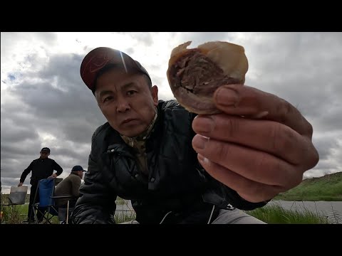 Видео: Здесь просто тонна рыбы...