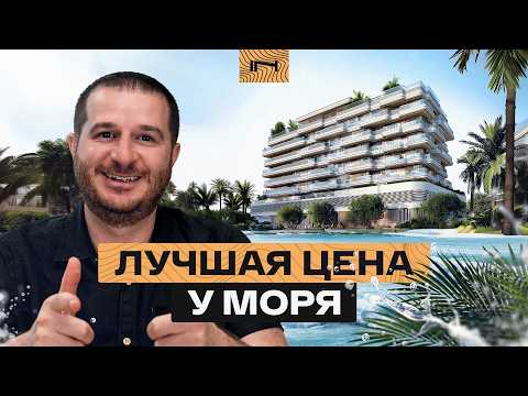 Видео: Новичок на рынке Дубая: разбираемся, кто такой Wadan