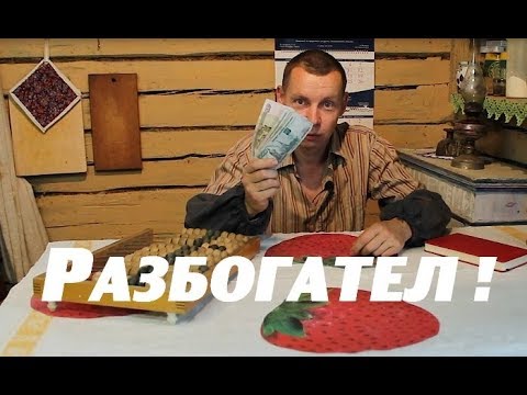 Видео: РАЗБОГАТЕЛ-ЖИВУ НА 3 ТЫСЯЧИ В МЕСЯЦ!//Содержит ли меня жена?