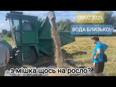 Видео: РІВНЕНЩИНА ШОКУЄ | ВОДА ЗАТОПЛЮЄ ПОЛЯ - ЗЛОВИВ КОМБАЙН МОЛОТИМ ОВЕС! ЛЮДИ РЯТУВАЛИ УРОЖАЙ В НЕДІЛЮ!