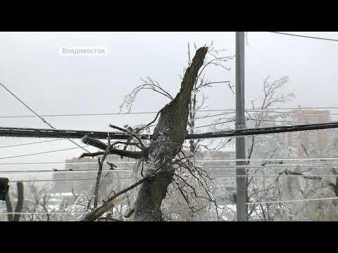 Видео: Погодный коллапс накрыл Владивосток