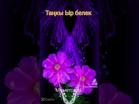 Видео: 23 октября 2025 г.