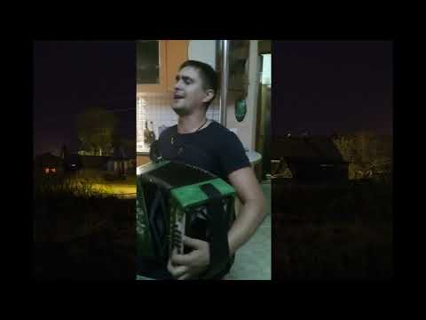 Видео: Максим Никулин И шёл бы я вечером поздним