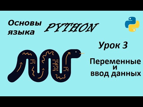 Видео: Уроки Python для начинающих / #3 "Ввод данных. Переменные. Удобные лайфхаки."