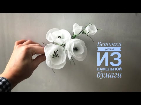 Видео: Цветочная веточка из вафельной бумаги.Собираем цветки в ветку.МК