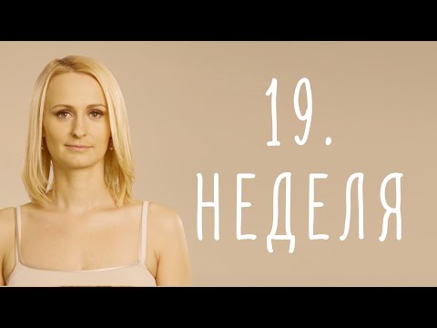 Видео: 19. неделя беременности