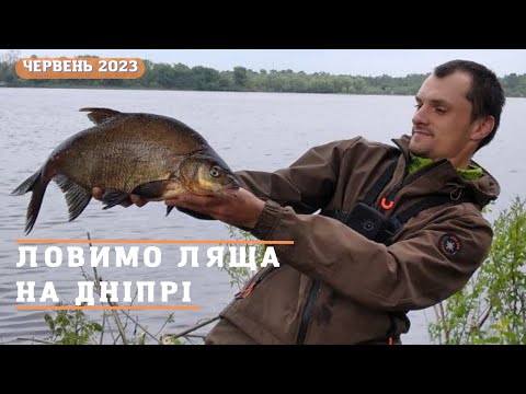 Видео: Ловимо ляща на Дніпрі на фідер 📌 рибалка на ляща 2023➡️Як маркеруватися фідером на річці ❓