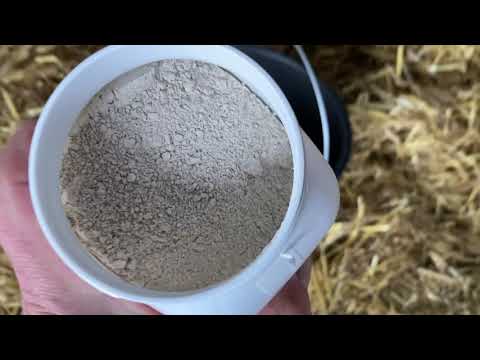 Видео: Бактерии в боксы