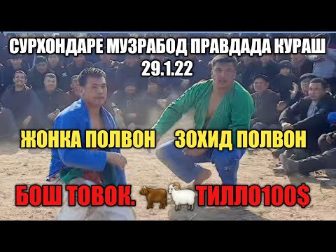 Видео: ЗОХИД ПОЛВОН ЖОНИБЕК К,ОЗОК,ОВНИ МУЗРАБОД КУРАШДА БОСДИ.29.1.22