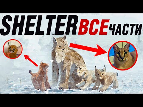 Видео: Анализ всех игр Shelter