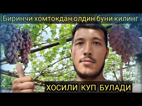 Видео: ХОСИЛНИ ОШИРИШ БИРИНЧИ ХОМТОКДАН ОЛДИН БУ СУПЕР
