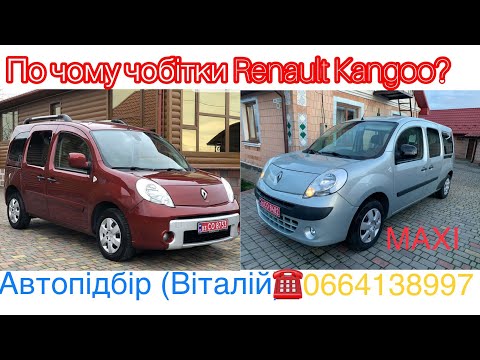 Видео: Renault Kangoo MAXI . Що купили замовникам ? #автопідбір #підбіравто