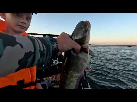 Видео: Сом в конце июля