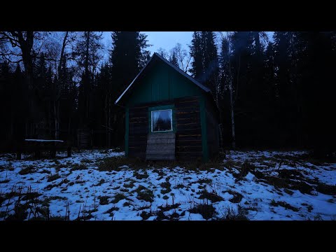 Видео: Первый лёд, рыбалка отменяется. Медведь снял двери. Находки в тайге.