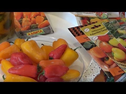 Видео: Сладкие мини перчики Обзор сортов