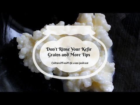 Видео: Подкаст, выпуск 219: Не промывайте кефирные грибки и другие советы