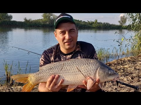 Видео: Рыбалка на Днестре (Глубокий Турунчук )  2022г. #рекомендации #рыбалка