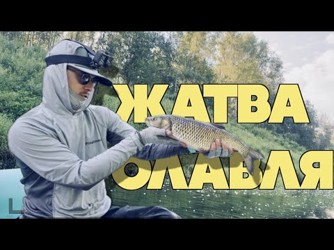 Видео: ЖОР, который бывает раз в жизни! Невероятный выход голавля