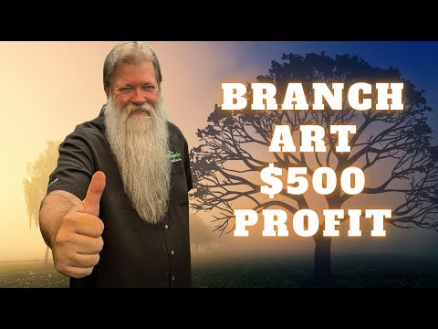 Видео: Получите 500 долларов прибыли с веток деревьев вокруг вашего дома