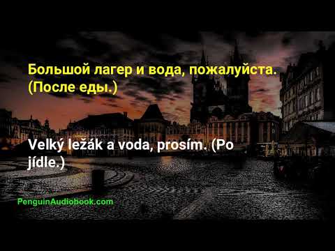Видео: Медленная чешская беседа для начинающих