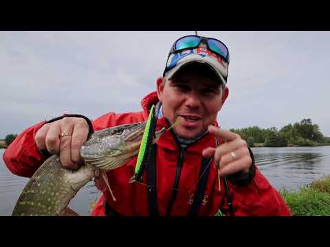 Видео: Крупные воблеры выкашивают осеннюю щуку! Проверено! | ВихровLIFE