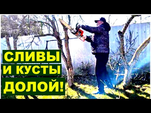 Видео: Майские на месте не сидели. Будет новая зона в саду.  Идеи НЕТ , нужна ваша помощь