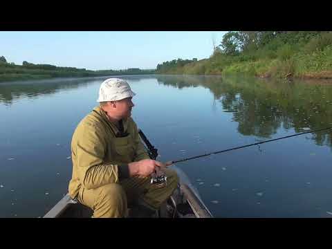 Видео: Снова рыбалка! "Валидольная" щука. Чепца. Август.