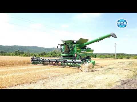 Видео: С народния ритуал "зажънване" започна прибирането на ечемика в Тунджанско