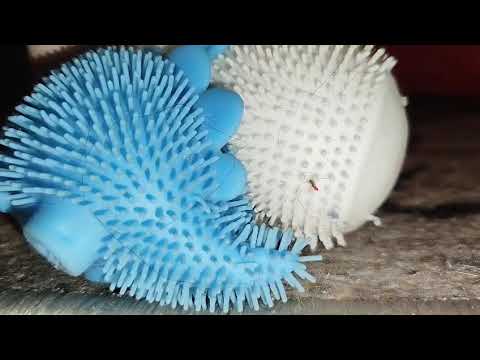 Видео: Приключения парня пушистик кролик и единорог 8 часть сезон 1 серия 47