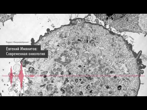 Видео: Евгений Имянитов: Современная онкология