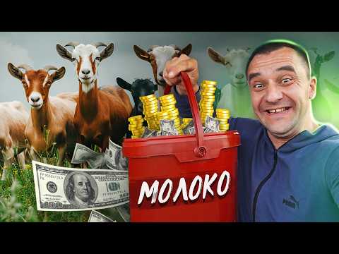 Видео: ЯК ЗАРОБЛЯТИ НА КОЗАХ? БІЗНЕС НА КОЗИНІЙ ФЕРМІ У СЕЛІ ГАЛАЙКИ