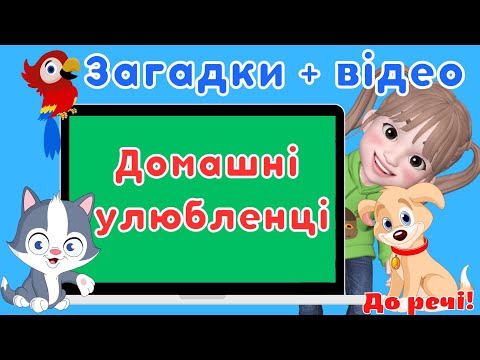 Видео: Домашні улюбленці/Загадки + відео про тварин🐶