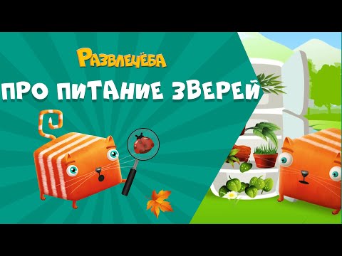 Видео: Развлечёба. Окружающий мир. Про питание зверей