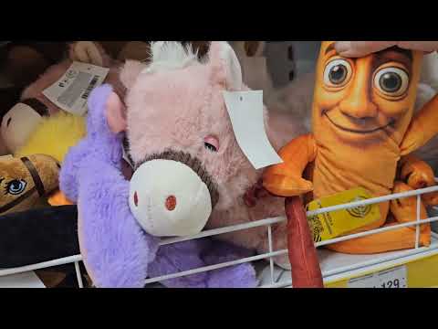 Видео: Ужасно обвинили наших собачек.