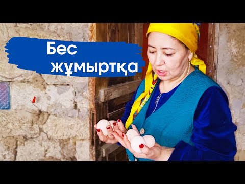 Видео: Vlog. Тауық қораға көгершін кіріп кеткен