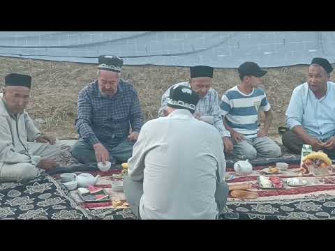 Видео: Қобил бохши Шўрчи Мадани маҳалласида Тоғай ака тўйда 