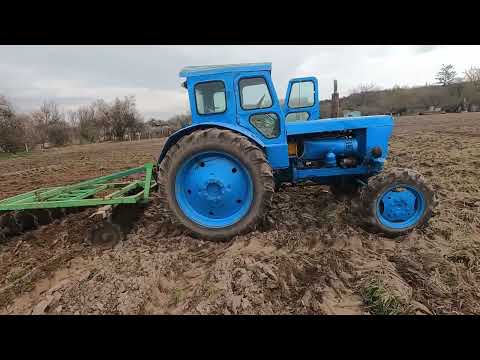 Видео: Тяжелая дисковка огорода, Т-40ам выдержит на этот раз или...