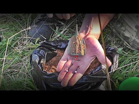 Видео: РЫБАЛКА НА ДОНКИ И ПЕНОПЛАСТ НА РЕКЕ С НОЧЁВКОЙ...