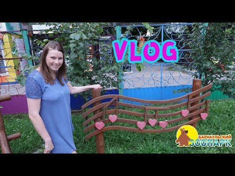 Видео: VLOG:БАРНАУЛЬСКИЙ ЗООПАРК,ШАШЛЫК
