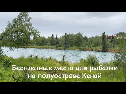 Видео: Бесплатные места для рыбалки на полуострове Кенай