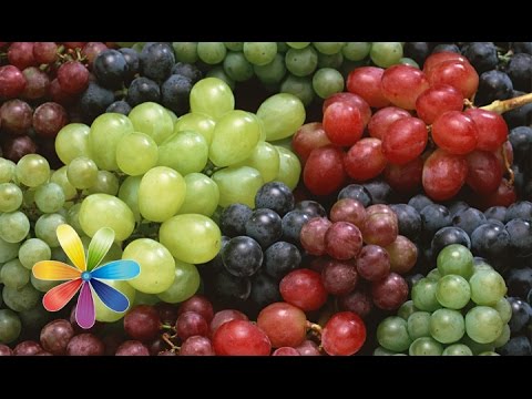 Видео: Выбираем виноград - Все буде добре - Выпуск 432 - 24.07.2014 - Все будет хорошо - Все будет хорошо