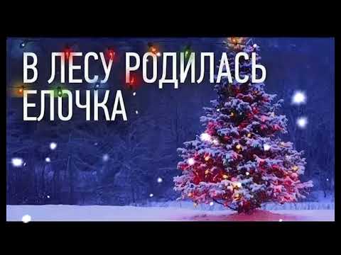 Видео: В лесу родилась ёлочка (смешная новогодняя песня)
