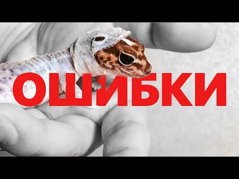 Видео: ТОП 10 ОШИБОК при содержании ЭУБЛЕФАРА